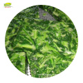 China Fresh Frozen Spinach Ball